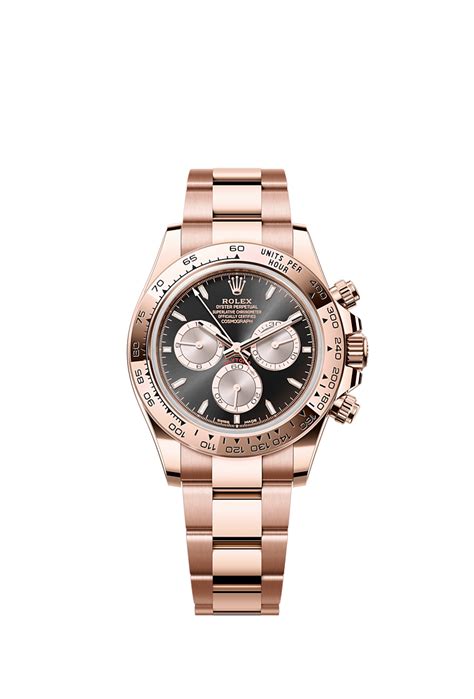 Rolex Cosmograph Daytona in Everose gold, M126505